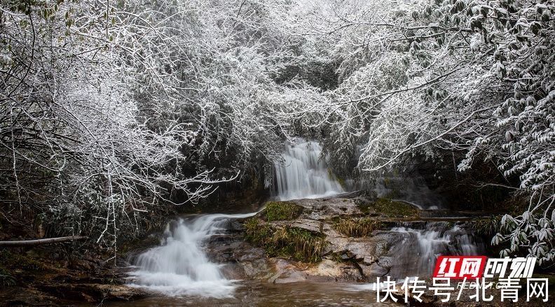 小庐山|炎陵云上大院又又又下雪了，宛若一幅雪景山水画