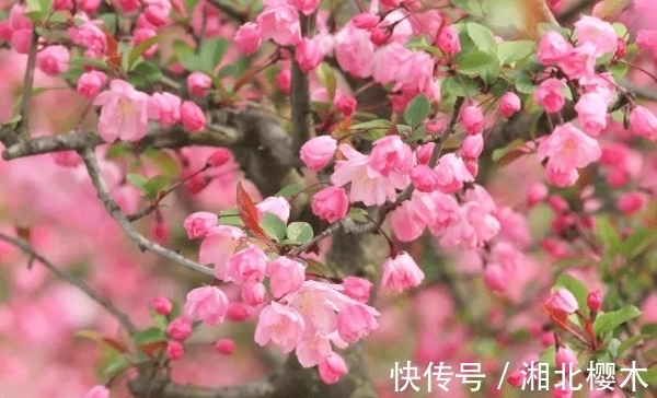 异性缘|8月28起，吉星照耀，财神爷眷顾，桃花盛开，异性缘好，人生起飞