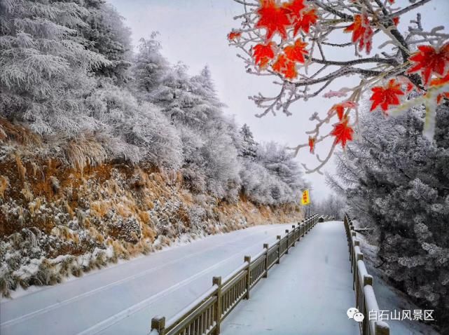 中年|2021第一场春雪！涞源白石山美上天际~