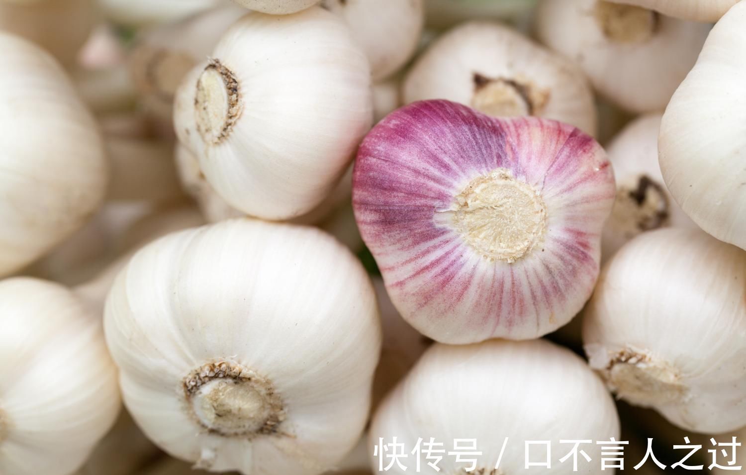 前列腺炎|别看它不起眼, 却是前列腺炎的“克星”! 男人常吃, 悄悄赶跑炎症