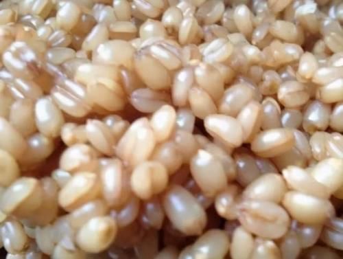 还有这种方法,制作的麦粒,一粒麦子一条鱼