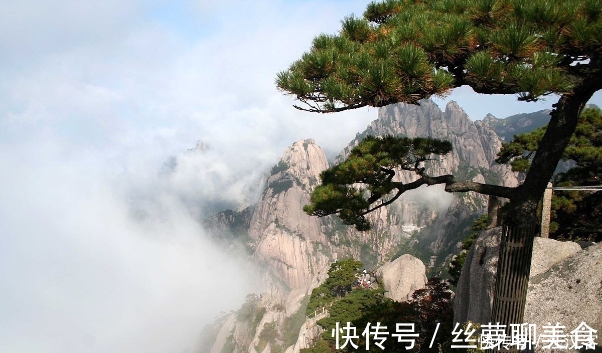 清新脱俗#十首隐士古诗词:香风不动松花老,白云遍地无人扫