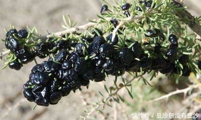 睡眠质量不好,晚上当零食吃几颗,睡眠好了,皮肤细腻光滑