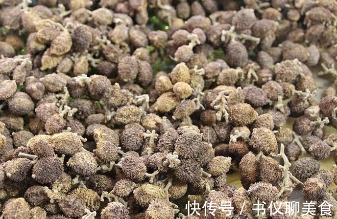 干果|竹林中的野果产量极少,物以稀为贵,制成干果1斤2千元!