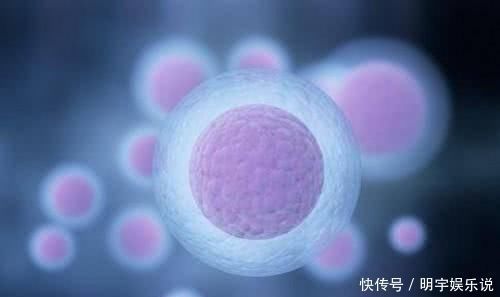 精子|如果卵子没遇到精子，那么排出的“卵子”去了哪里害羞也看完