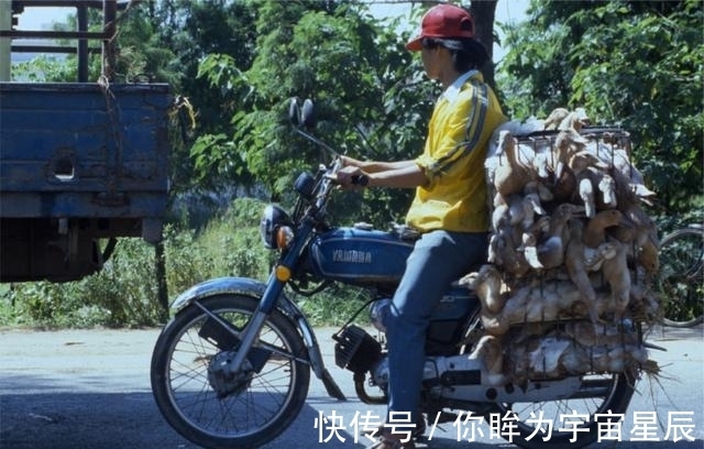 道光年间|游客广东所见1985年，从广州至佛山