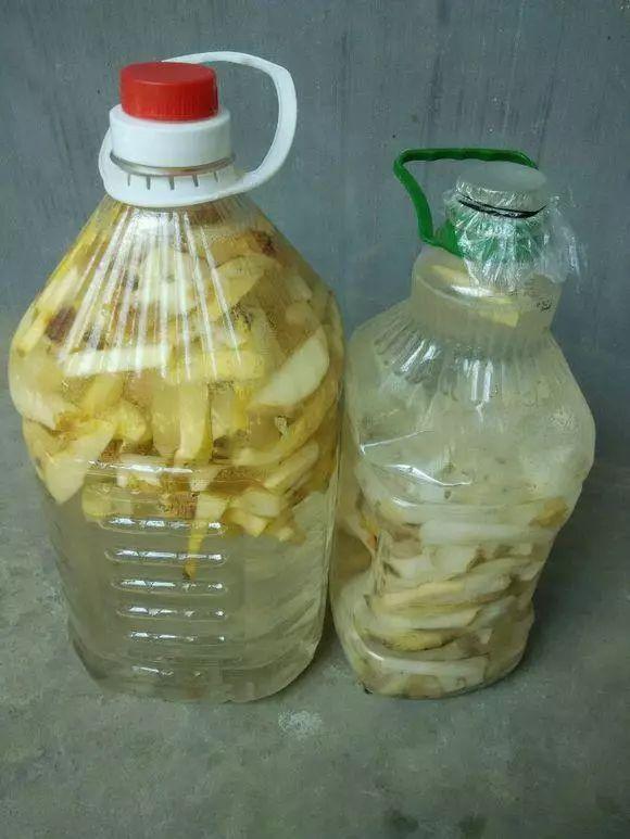 花土硬得像石头,烂根又黄叶,灌点它很快变松软,不用换土!