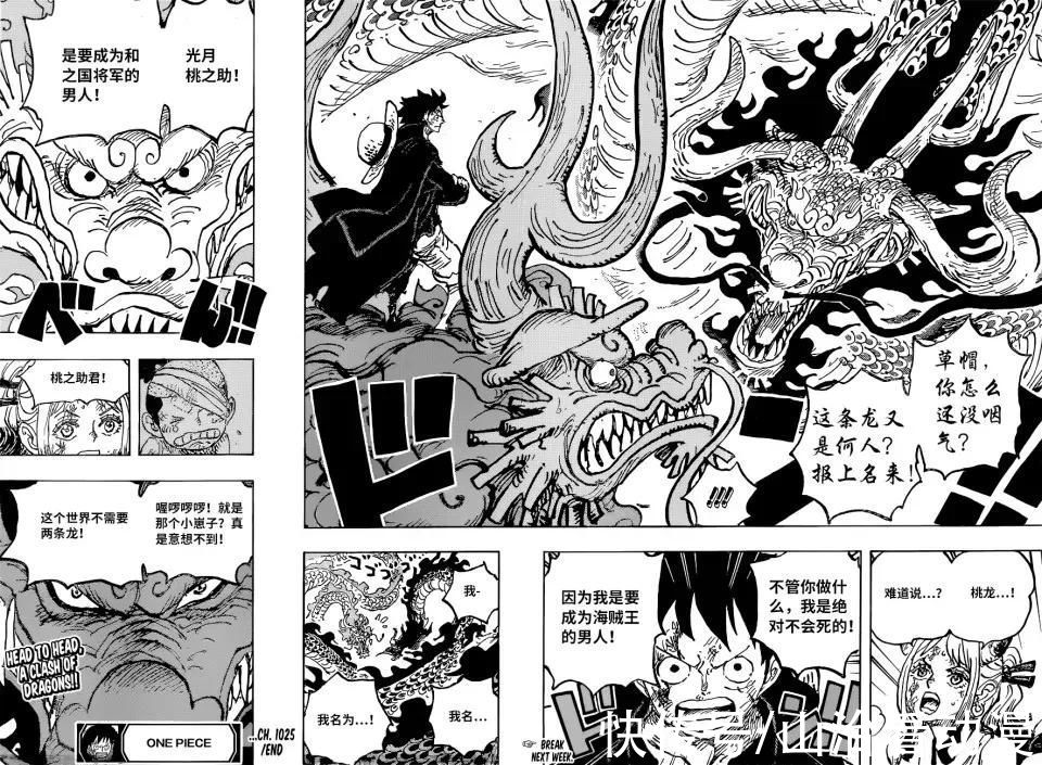 路飞|海贼王1026话情报:桃之助咬伤凯多,猫狗击败大妈长子和旱灾杰克