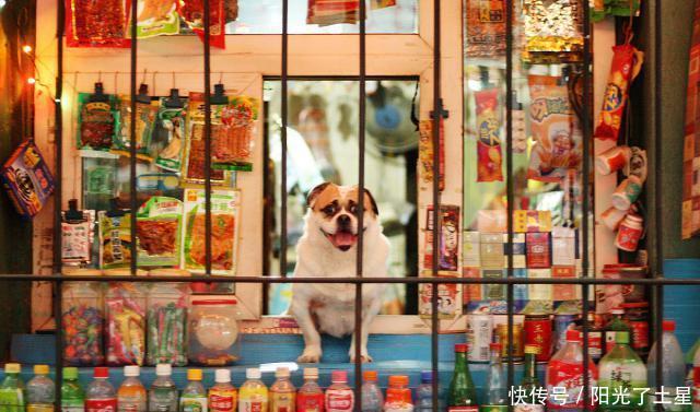 小卖部|那一年80后常吃6种糖,算是小卖部里的“爆款”,贵也就2毛钱