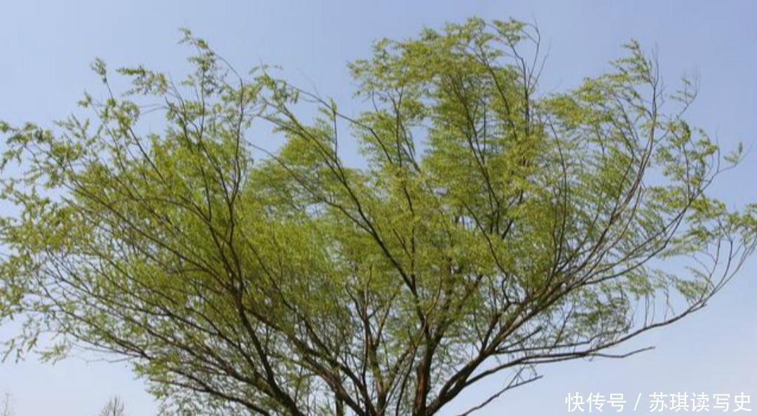 也成为|薛涛一首感人的爱情诗,细腻的笔触娓娓道来,写尽了相思之苦