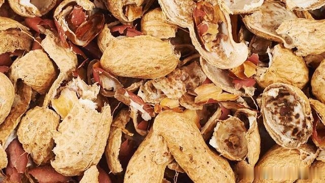 你家有花生壳吗放在家里特别实用,一年能省下上百元,涨知识了