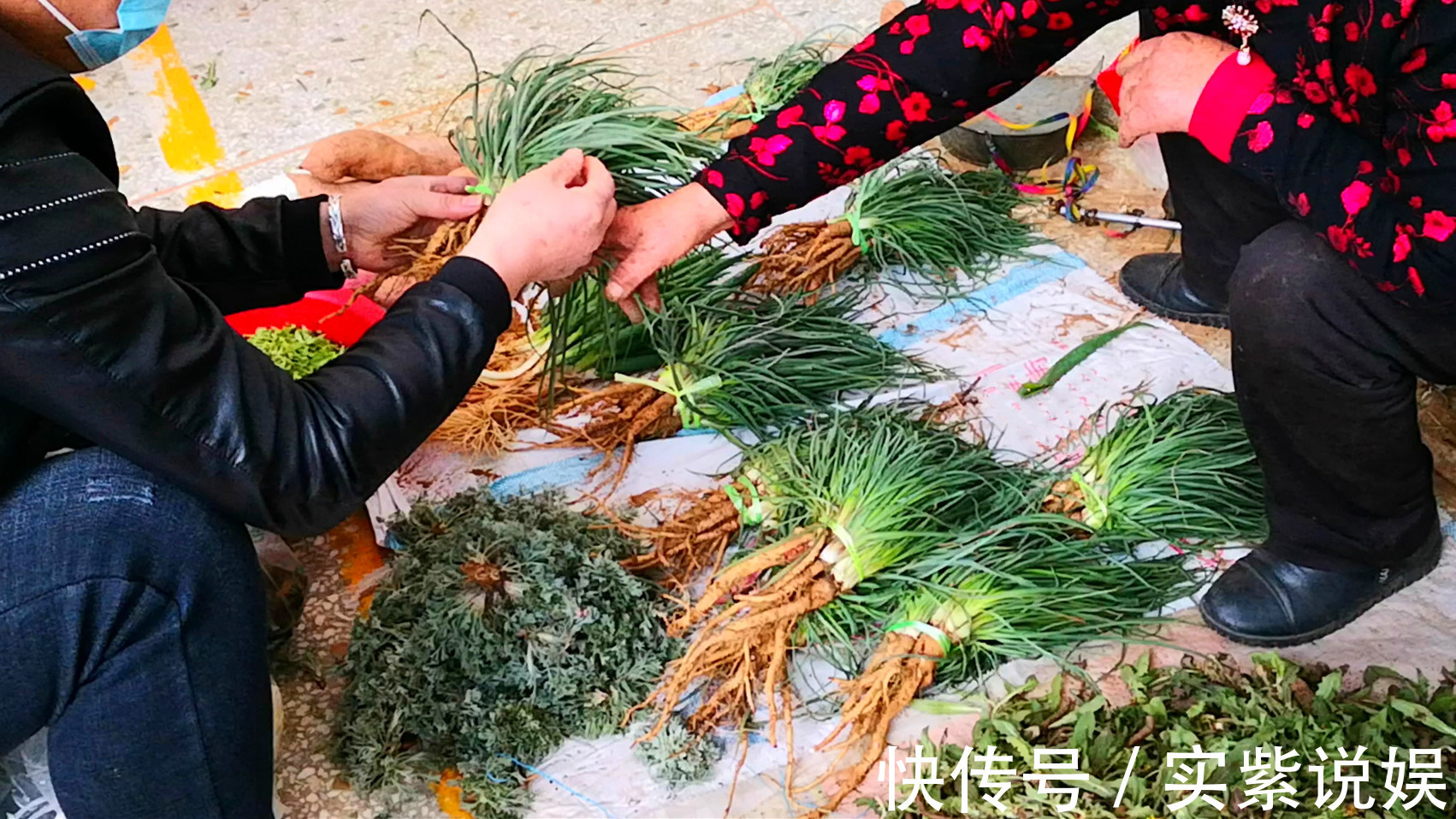 三人行必有我师焉|天天喊着吃野菜,牢记“3吃,5不吃”!为了家人健康,别再吃错