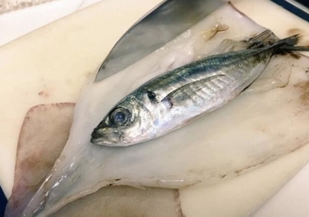 回家|女子买鱿鱼回家,清理时发现问题,人与人之间的信任呢??