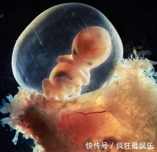 一个月|十月怀胎,胎儿长得最快是哪个月孕妈做好准备以免影响胎儿发育