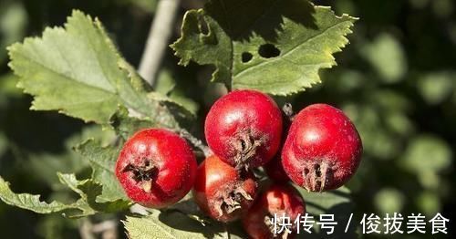 西洋参|黄芪与“此物”同泡，不出2周，补气养血延缓衰老，健康疾病少！