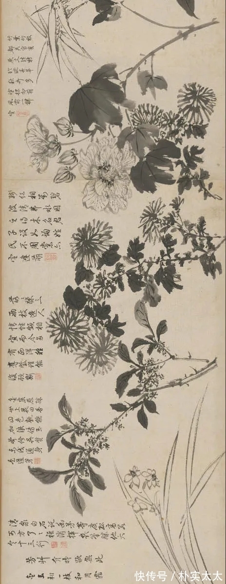 明代!周之冕|明代一位兼工带写的花鸟画家