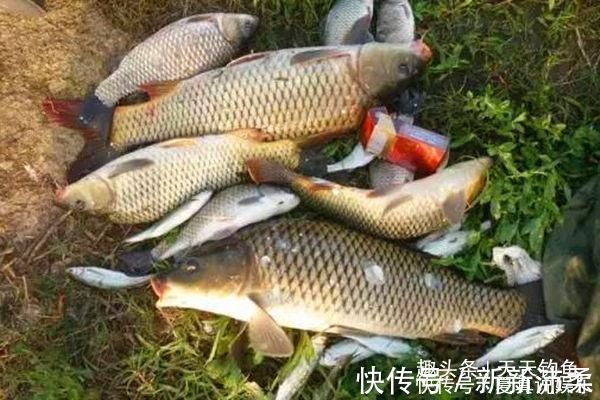 铅坠|手竿钓鲤鱼的调漂要点，“空枪”太多，一定要试试这些调漂方法