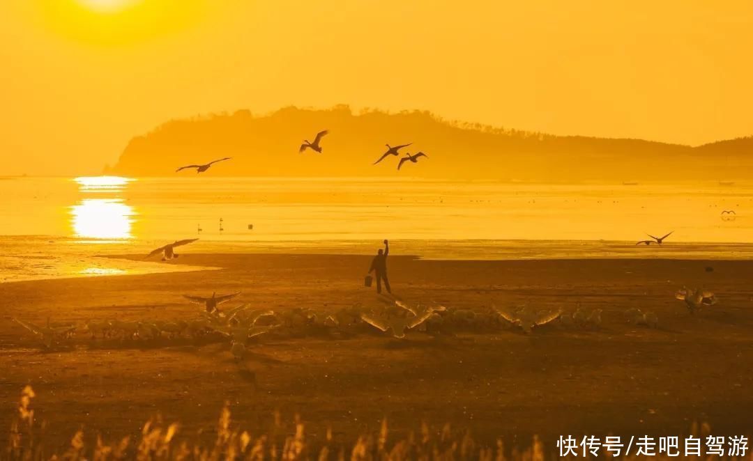 1月最佳旅行地，藏着你没见过的绝色中国，2021的第一份清单