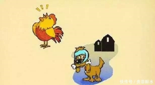 |幽默段子:前天遇到了个算命师父,算命师父看了看我的手相