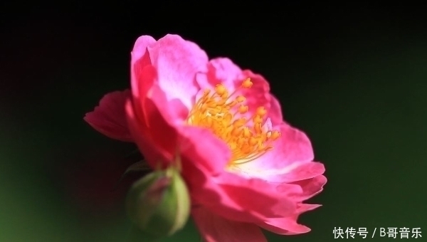 富翁命|人出生在农历4个月份,注定是“富翁命”,后半生将富的流油!