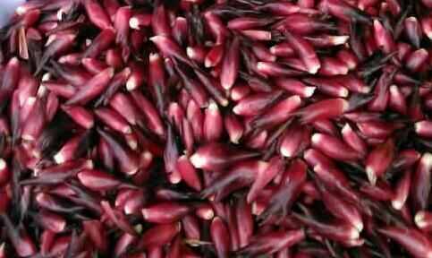 秋天|秋天来了，可以多吃3种食物，排毒养颜，滋润肌肤！