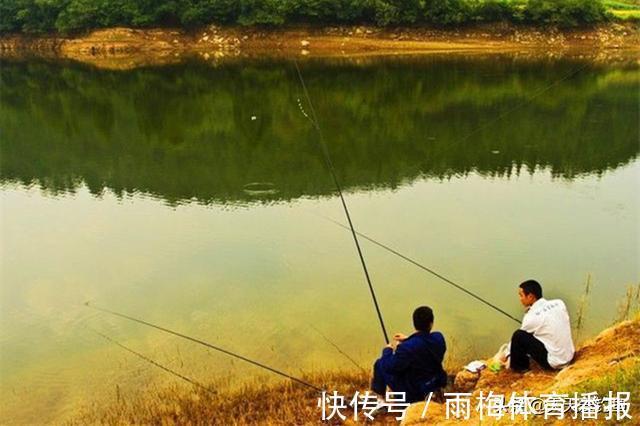 秋天钓鲤鱼,一要凉二要坡、三要等四要稳,没有钓不到鲤鱼的道理
