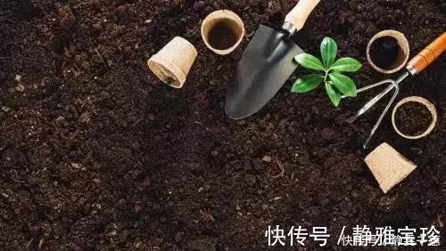 一招教你把旧土变新土，再也不用花钱买营养土种花了