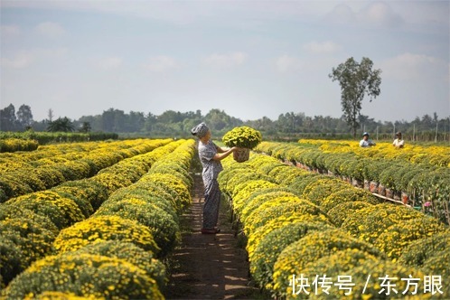 心情好坏！岁月！（很短，很美）