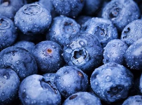 眼睛|对眼睛最好的4类食物,不是猪肝,家家都有,早吃早受益