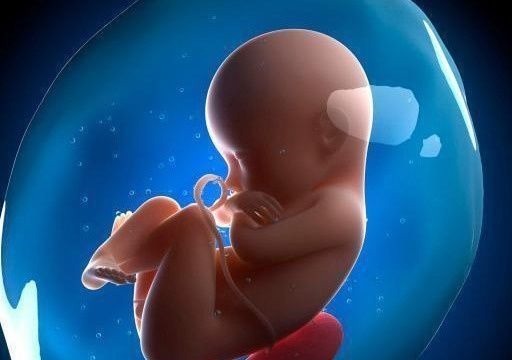 怀孕|怀孕后,若孕妈妈有3个“特殊”表现,说明孩子是个“聪明娃”