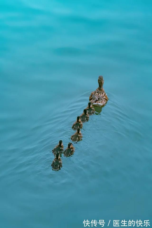 |「被窝段子20210727」生活没有低谷,只有蓄势待发