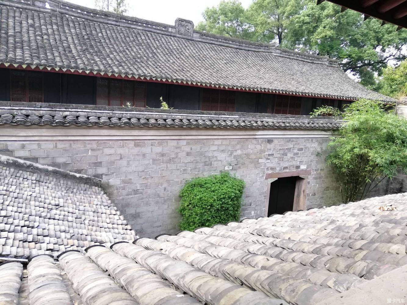 地标|晨游月湖园，误撞童槐家