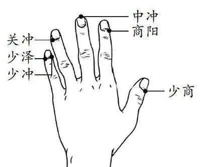 经外奇穴|5指对五脏!5个手部小动作,疏通气血,调理脏腑,治病祛邪!