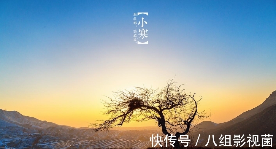 梅花饺!小寒时节,让我们一起走进诗词,感受属于“小寒”的那份韵味。