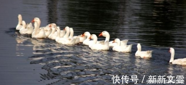 哲理&朱熹这首诗充满了深刻的哲理,短短28个字,读来让人受益匪浅!