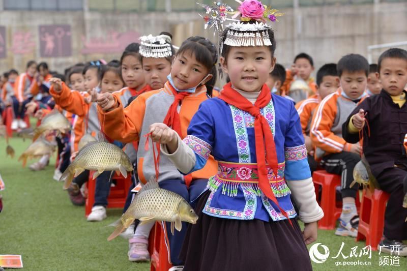 广西三江：奖励活鲤鱼 勤学跃龙门