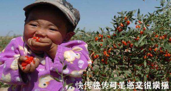 农村|这种野生植物农村孩子多见过，小时候的美味，对身体很有好处！