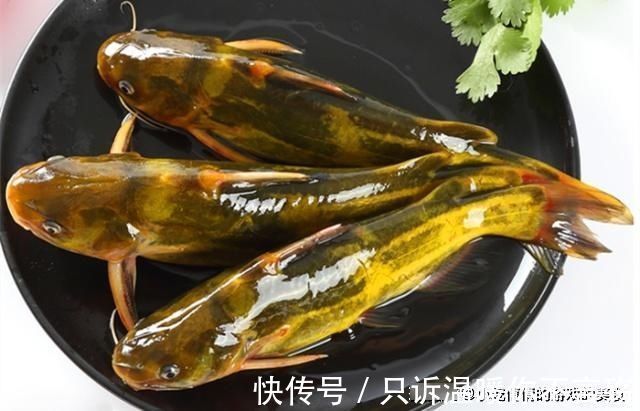 微量元素|这“6种鱼”适合给孩子吃,肉多刺少味道鲜,能健脑补钙又长个子