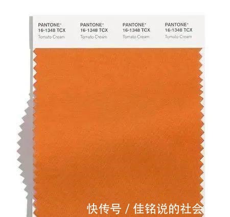 酒庄红 202122秋冬女装流行色趋势!