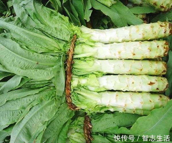 蔬菜|宁愿不吃也别碰以下4种“蔬菜”,寄生虫“成堆”,喜欢也要少吃