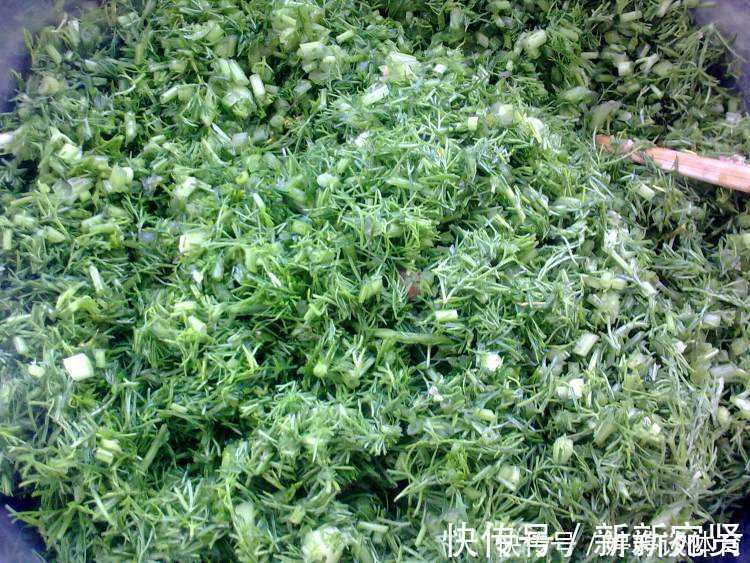 湿气就怕这个菜,遇见就买,用来包饺子,比韭菜馅还香,湿气不见了