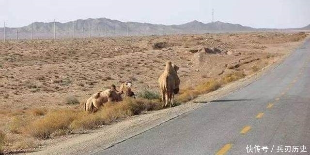 中国最神秘最孤独的公路，胆小的都不敢自驾游，你敢去吗？