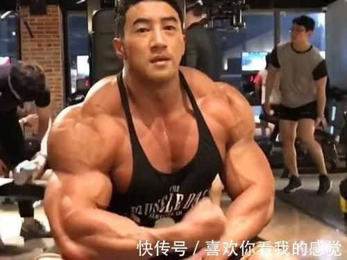 力量|肌肉强壮的人力气一定大吗认识这几点,锻炼才能有方向
