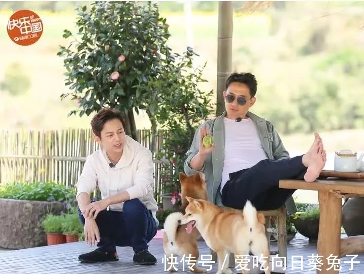 高情商|黄磊煮7个鸡蛋嘉宾却有8人,网友看完真相后直呼:高情商