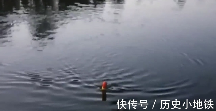 大鱼|男子用鲫鱼当诱饵,被朋友们嘲笑,最后钓到的鱼让朋友们闭了嘴