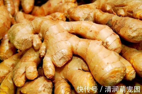 妙招|生姜放久了总是坏?教你3个小妙招,放半年不干瘪不腐烂