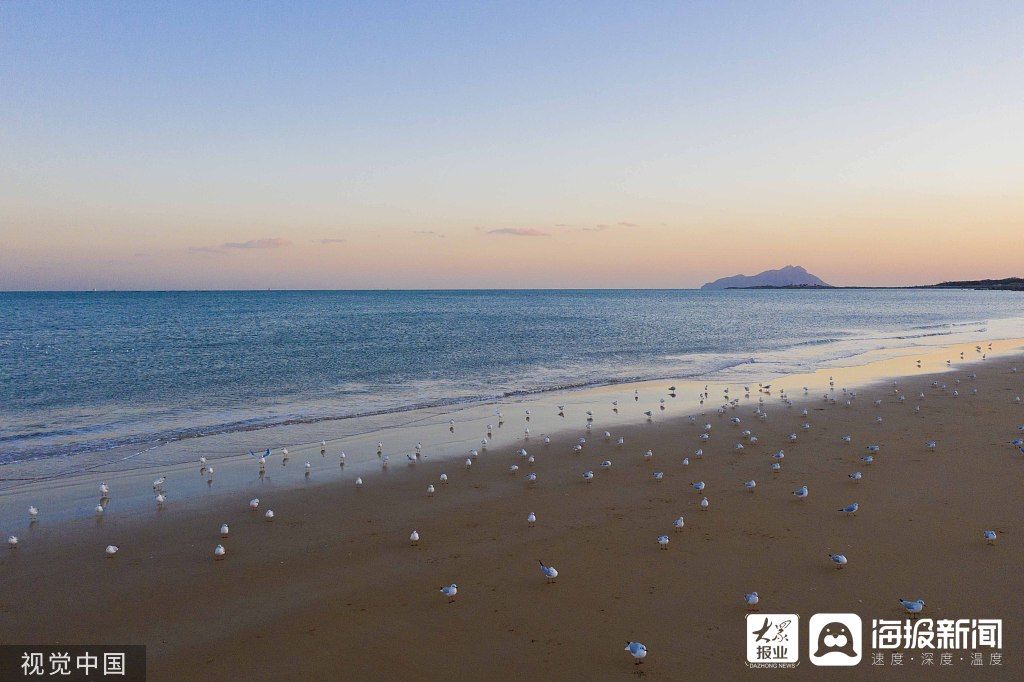 沙滩|沙滩天蓝海碧海鸥翔集 编织初冬海滨靓丽画卷