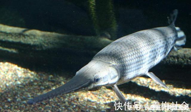 全国禁渔期陆续开始了,垂钓需规范,做到“该放就放,该狠就狠”