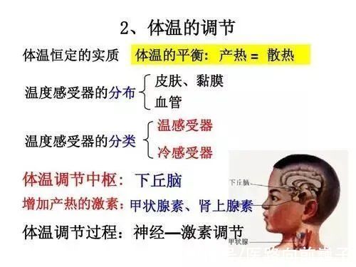 体检|长期不发烧说明身体不好？更容易得癌症？真相没那么简单