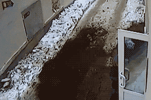 |搞笑GIF:买个自行车,骑车去上班,结果累个半死,下班实在骑不动了